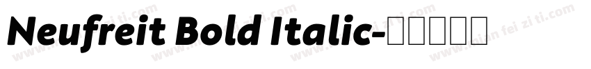 Neufreit Bold Italic字体转换